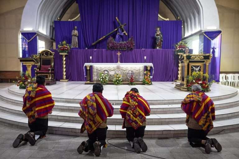 Velos morados