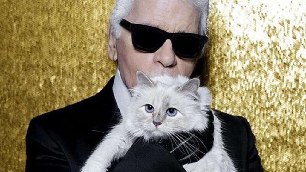 Choupette, 7 años sin recibir herencia de Lagerfeld