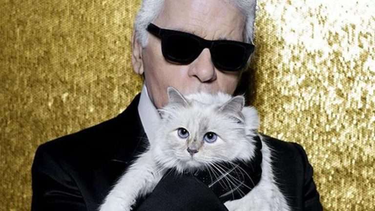 Choupette, 7 años sin recibir herencia de Lagerfeld