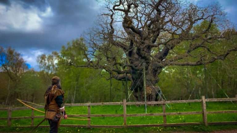 Muere ‘Major Oak’, el roble de 12 siglos vinculado a Robin Hood
