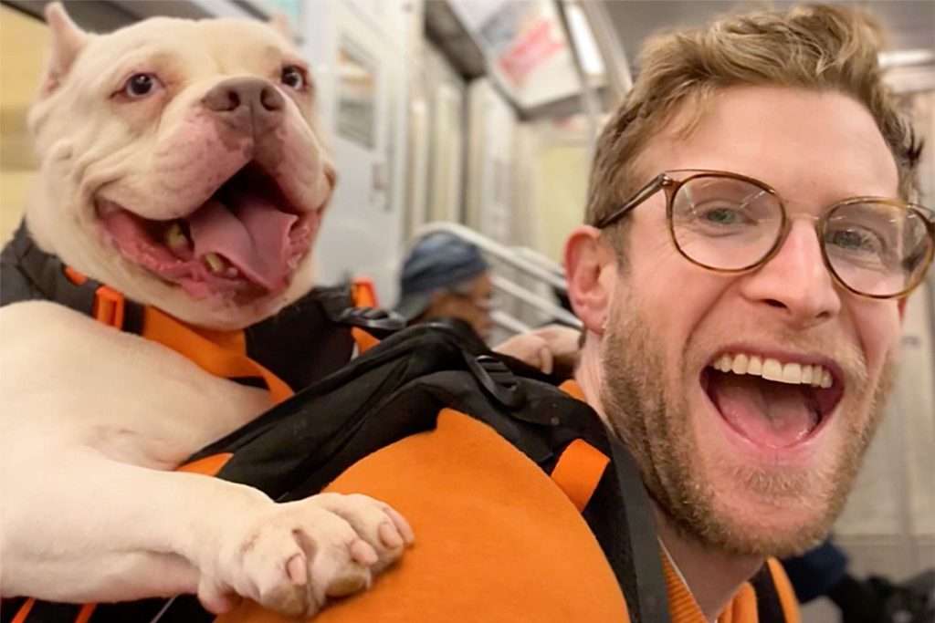 Hermosa historia: 34 perros adoptados en 48 horas gracias a paseos en mochila