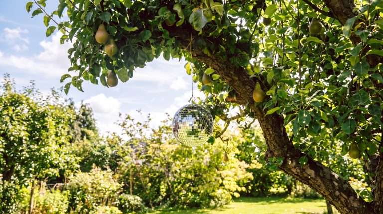 Bola de disco en el jardín: ¿aleja avispas o solo es un mito?