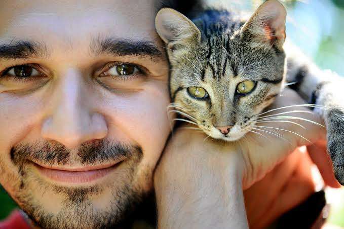 La ciencia explica por qué las mujeres evitan salir con hombres que tienen gatos