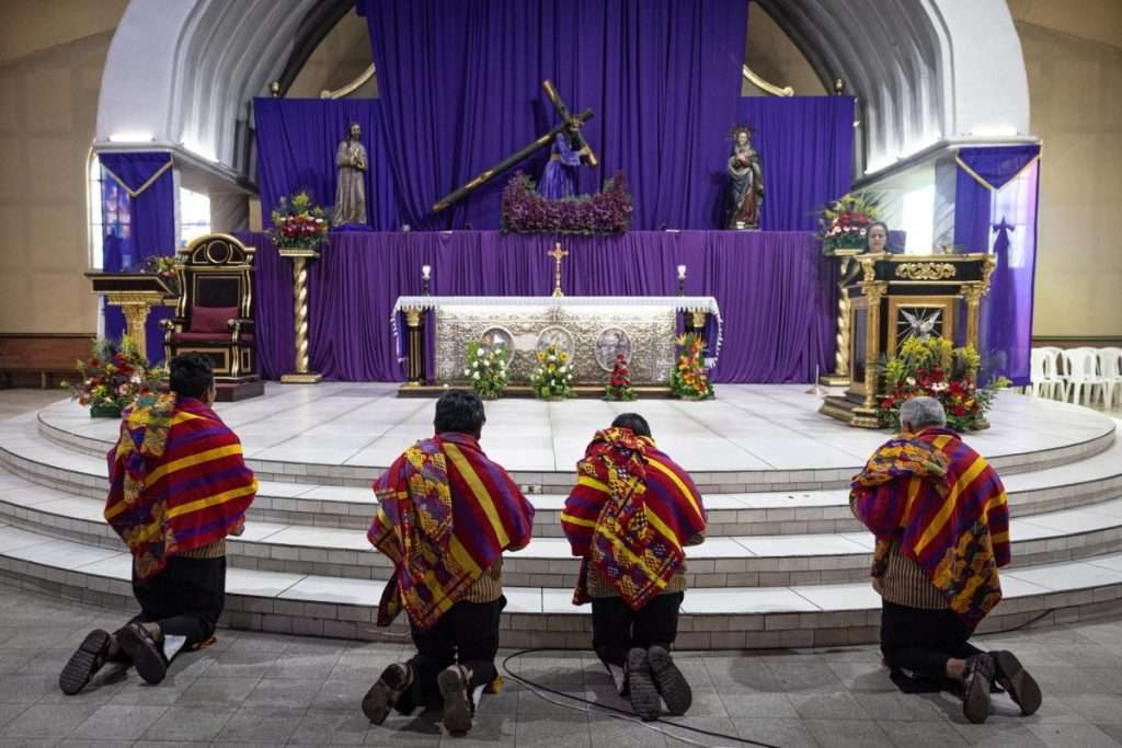 Velos morados