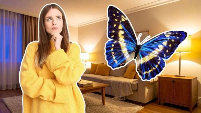 Mariposas en casa: ¿simple visita o señal de cambio?