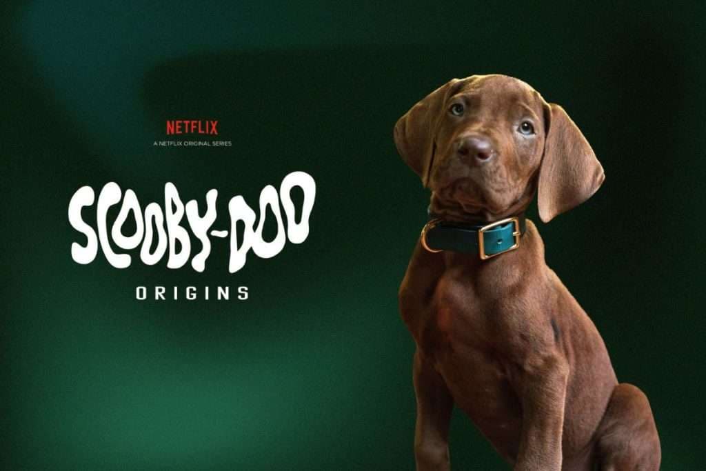 Netflix estrena en 2027 su versión live-action de Scooby-Doo