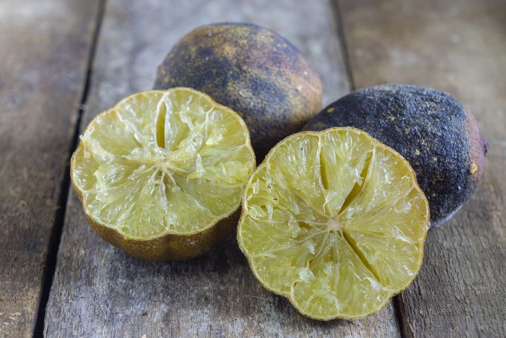 Limón seco: no lo tires, mejor aprovecha todos sus beneficios