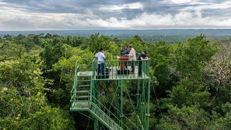Documental guatemalteco nominado en los ‘Wildscreen Panda Awards’: los «Óscar Verdes»